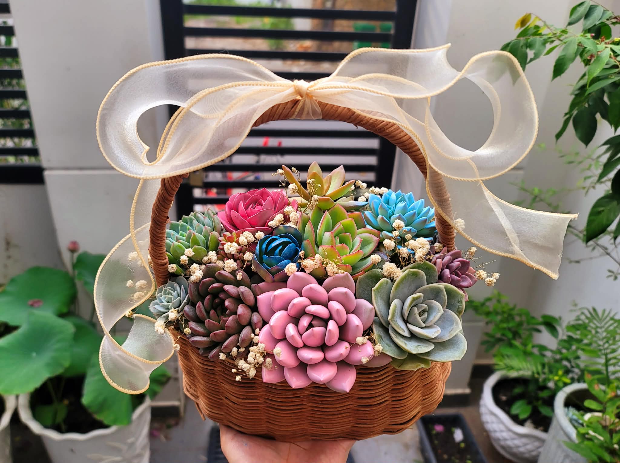 Giỏ hoa sen đá mix