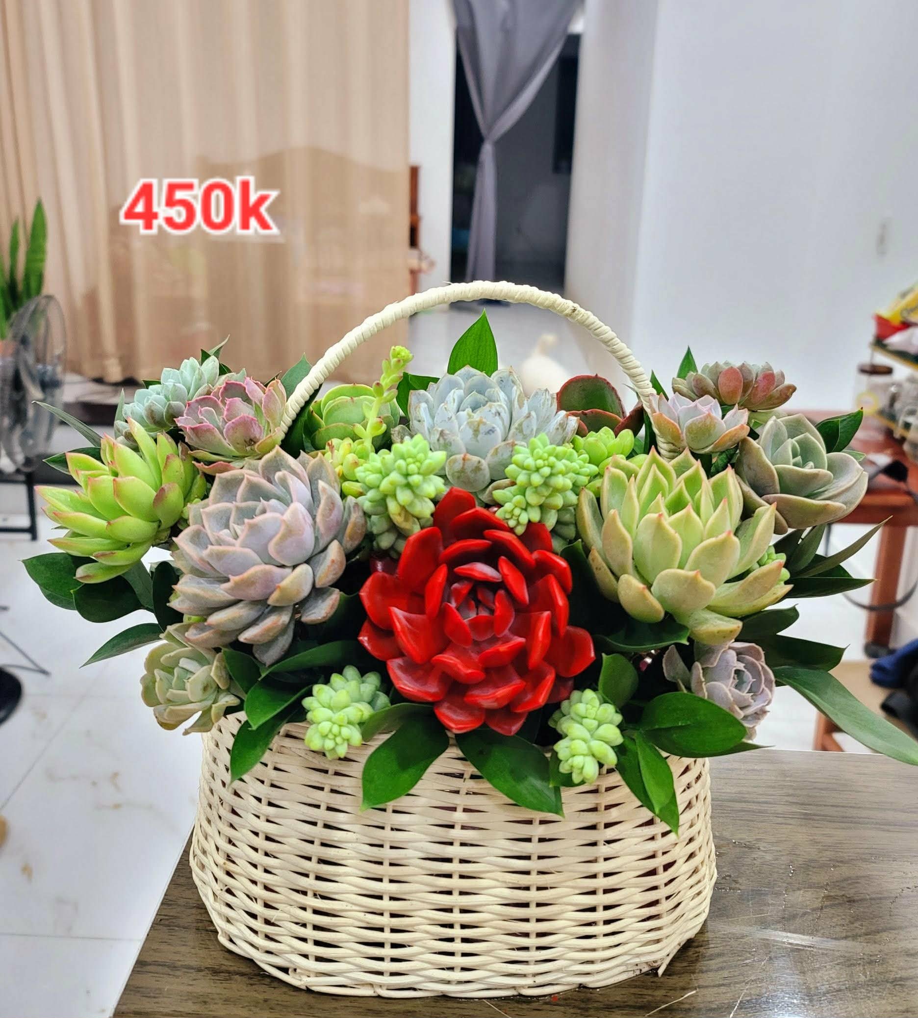 Giỏ hoa sen đá - Size M