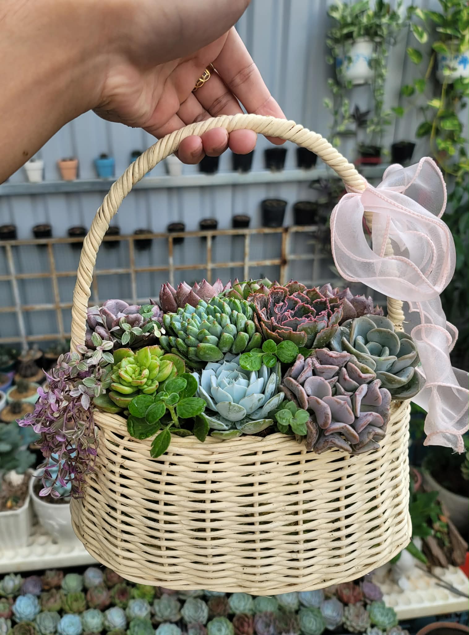 Giỏ hoa sen đá mix