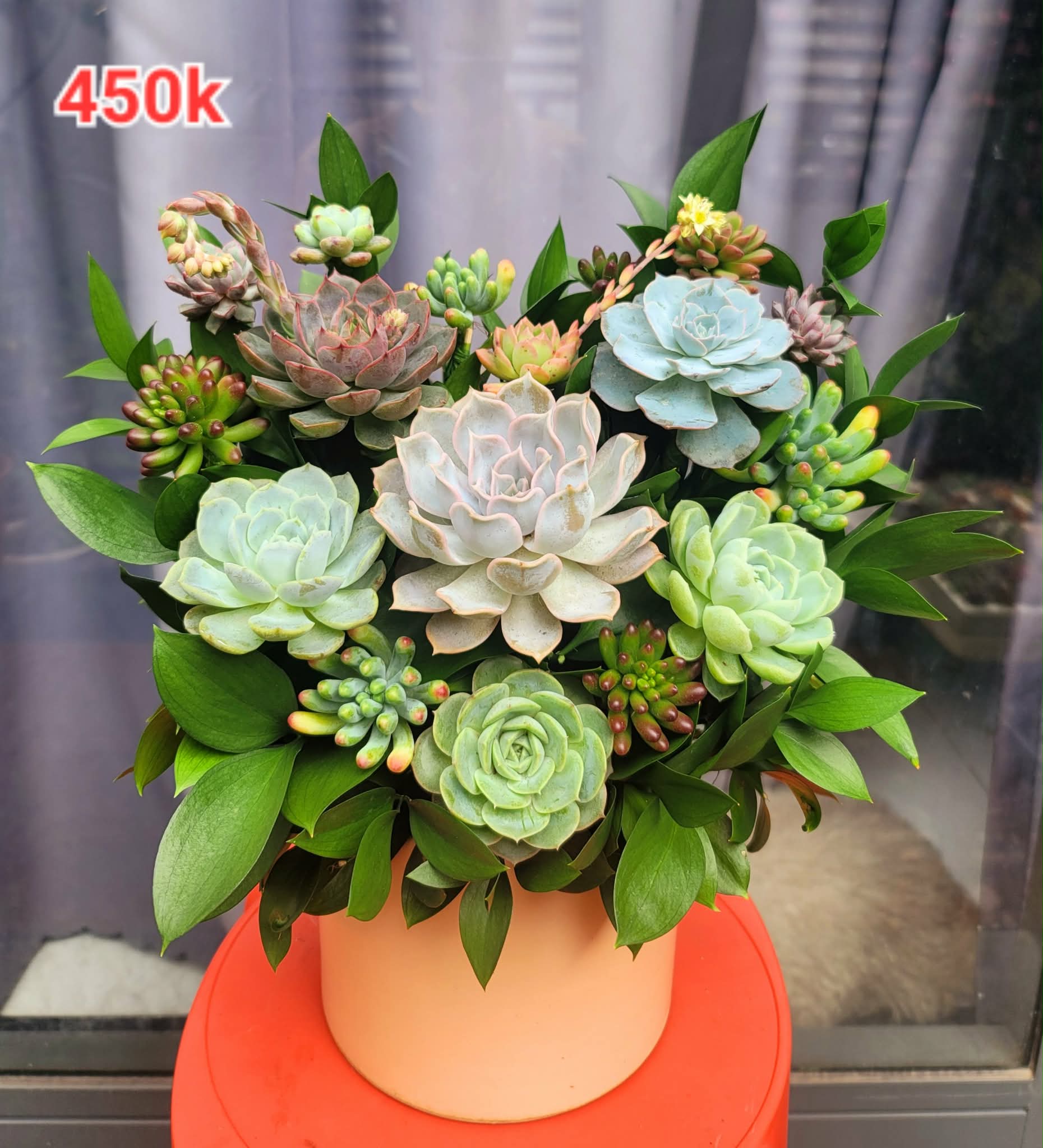 Giỏ hoa sen đá - Size M