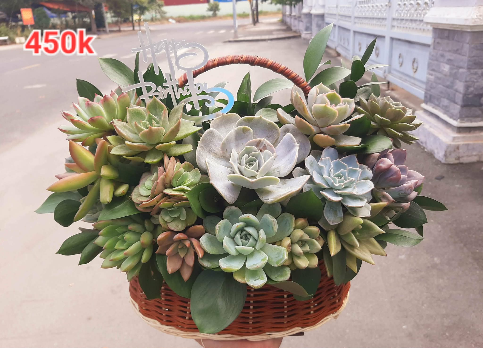 Giỏ hoa sen đá - Size M